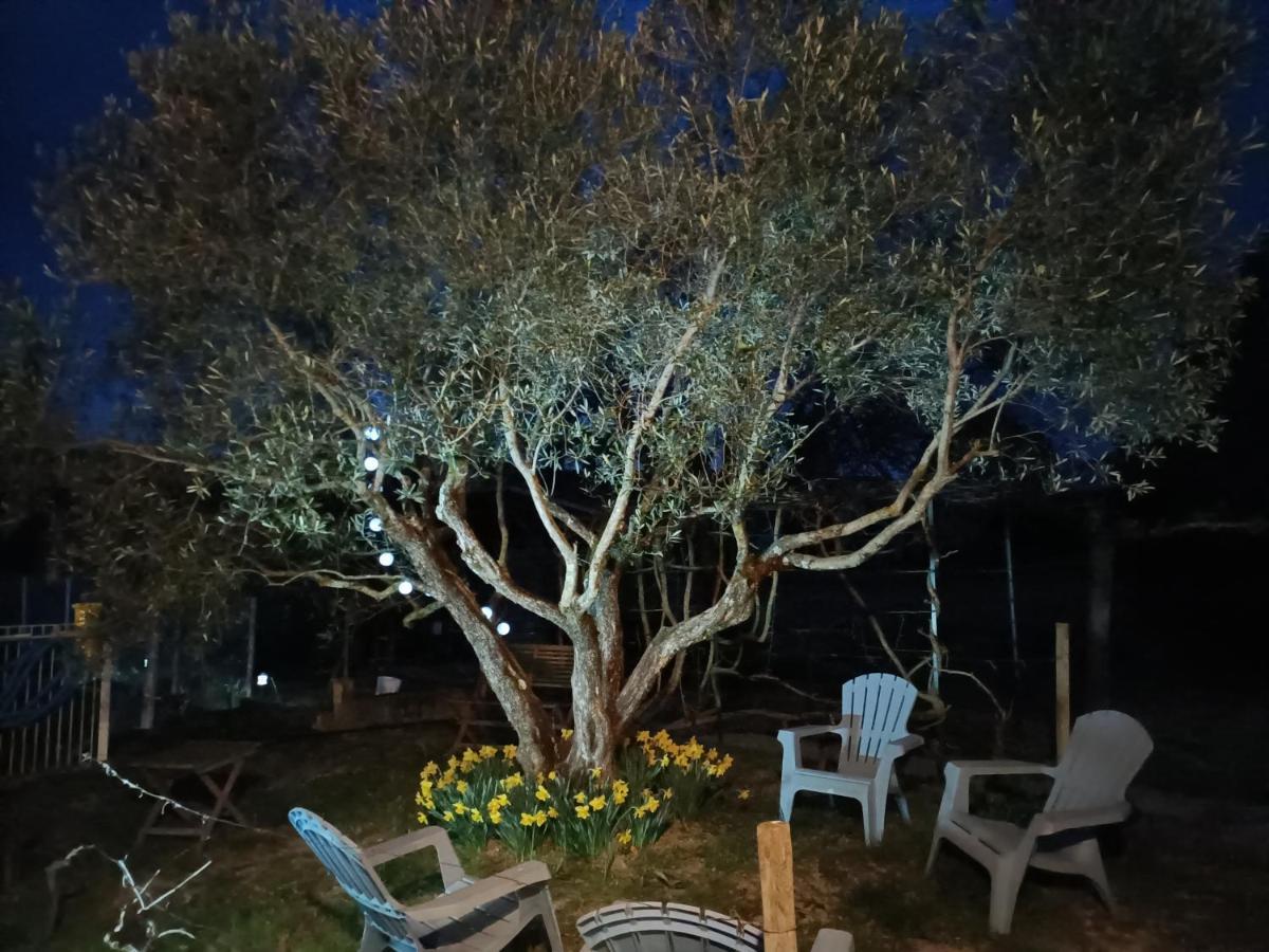 ボーリュ Au Beaulieu Bed & Breakfast エクステリア 写真